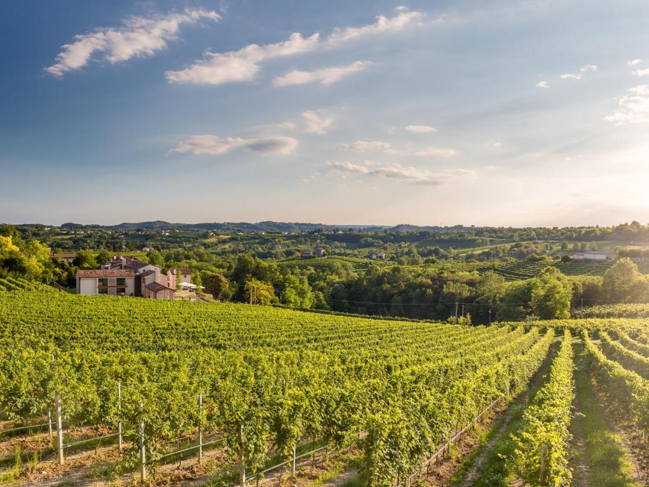 Tenuta Sant'Eufemia San Pietro Di Feletto Exteriör bild
